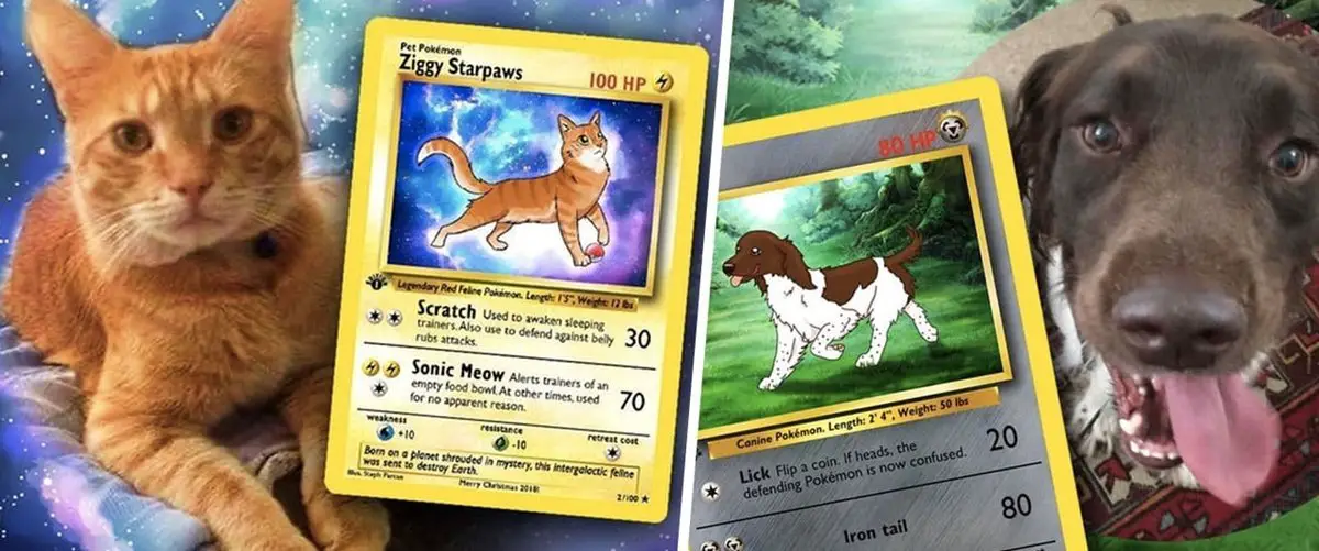 Reciteren Vies Slaapkamer Turn Your Adorable Furry Friend Into a Custom Pokémon Card - Geeky