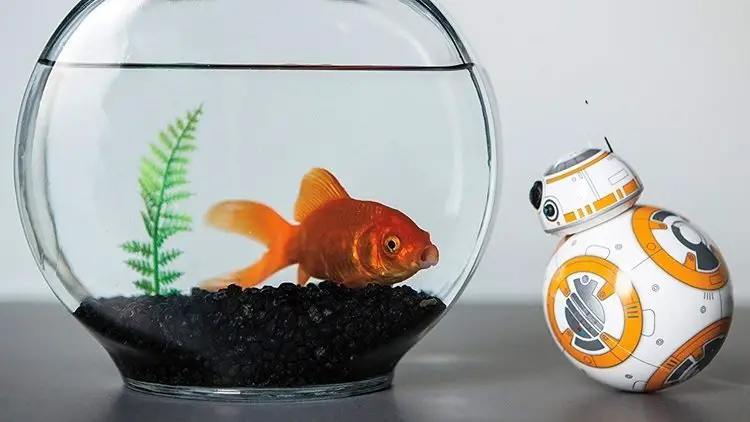 Sphero BB-8 App-Enabled Droid