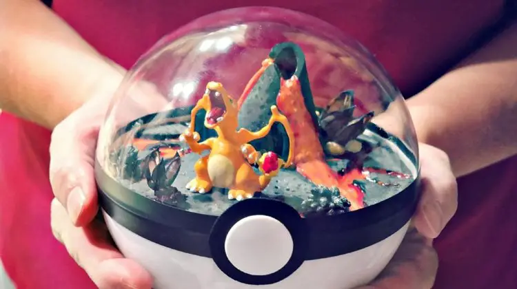 Pokeball Terrariums