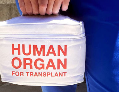 organ donor lunch box